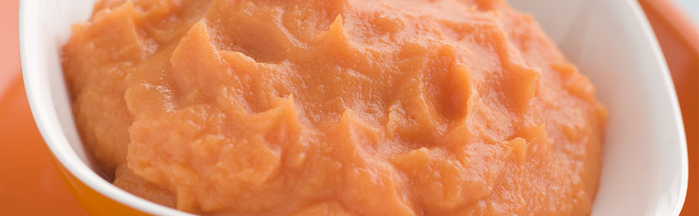 CHICKEN, APRICOT AND SWEET POTATO PUREE CHICKEN, APRICOT AND SWEET POTATO PUREE
