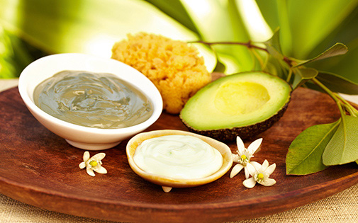AVOCADO AVOCADO